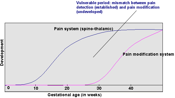 Fetal Pain Chart