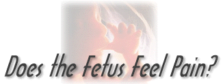 Does the Fetus Feel Pain?